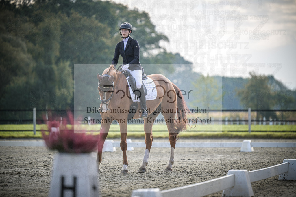 DOS_B062 | Entdecke hochwertige Reitturnierfotos von Foto Oger. Professionell, emotional und authentisch – jetzt Lieblingsmomente im Shop bestellen.Deutschlandweite Turnierfotografie. - Realisiert mit Pictrs.com