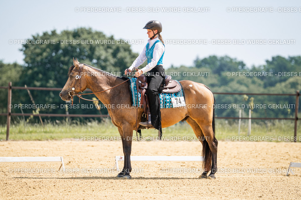 DSC00914 | Pferdegrafie