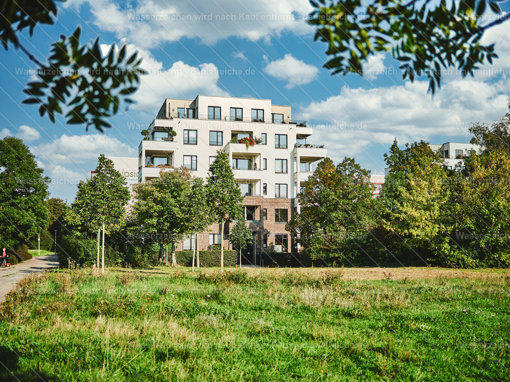 Leipzig Grünau Alte Salzstraße / Zschamperaue Sommer 2022 | Leipzig Grünau Alte Salzstraße / Zschamperaue Sommer 2022 - Realisiert mit Pictrs.com