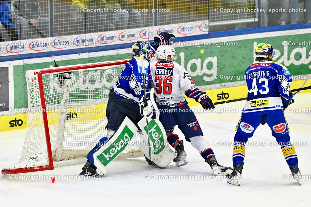EC IDM Wärmepumpen VSV vs. Hydro Fehervar AV 19 | Jubel Hydro Fehervar, #36 Csanad Erdely Hydro Fehervar, #35 Joe Cannata EC VSV, EC IDM Wärmepumpen VSV vs. Hydro Fehervar AV 19, EC IDM Wärmepumpen VSV vs. Hydro Fehervar AV 19  am 17.01.2026 in Villach (Stadthalle Villach), Austria, (Photo by Bernd Stefan)