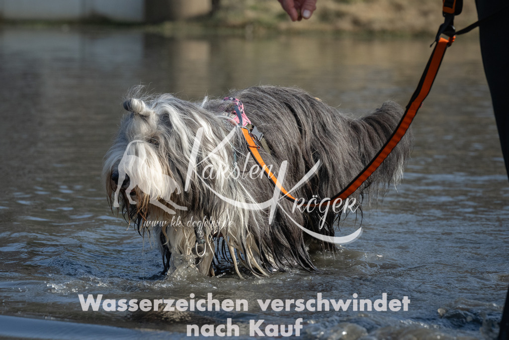 1442_ZZ90875 | kk-dogfotos