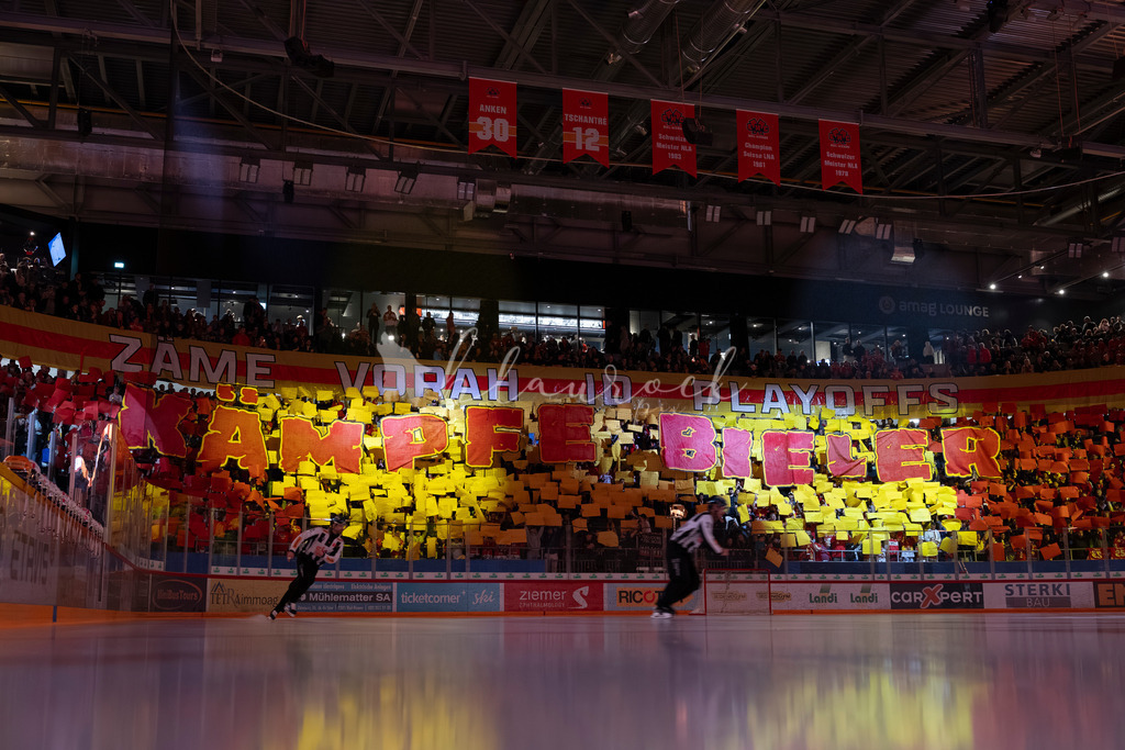 EHCB vs SCB 20260312_wb-5936 | Sportbilder, Sportfotograf, Hochzeits- und Eventfotografin, Flugshows, Portraits und Tiershooting, Aviation, Downhill, Nationalleague, Swissleague, International