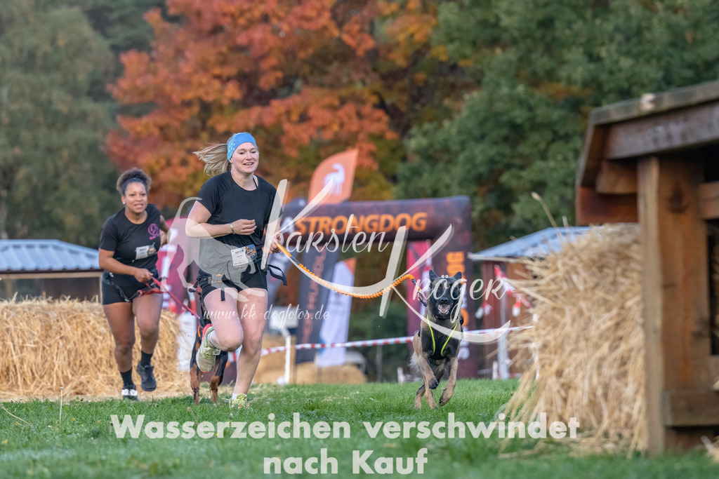 0817_ZZ90171-Bearbeitet | kk-dogfotos
