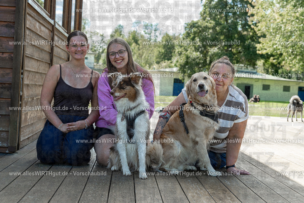 Hundeschwimmen_Volksbad_2026-allesWIRTHgut_Tierfotografie-2609061421-7R501042 | Professionelle Tierfotografie in Mönchengladbach von Daniel Wirth (allesWIRTHgut). Liebevolle & natürliche Bilder von Hunden & Katzen für unvergessliche Erinnerungen.