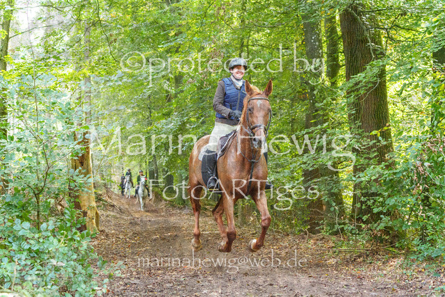 Jagd Perdoel_MarinaHewigMCH04796 | Fotografie, FotoArt, PferdesportArt, Pferdesportfotografie, Landschaftsfotografie, Reisefotografie, Reise, Pferde - Realisiert mit Pictrs.com