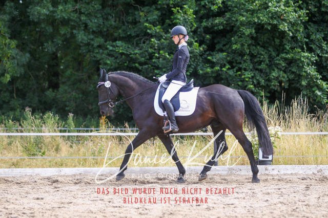 DKP46079 | Turniersportfotografie; Pferdefotografie; Dressurfotografie