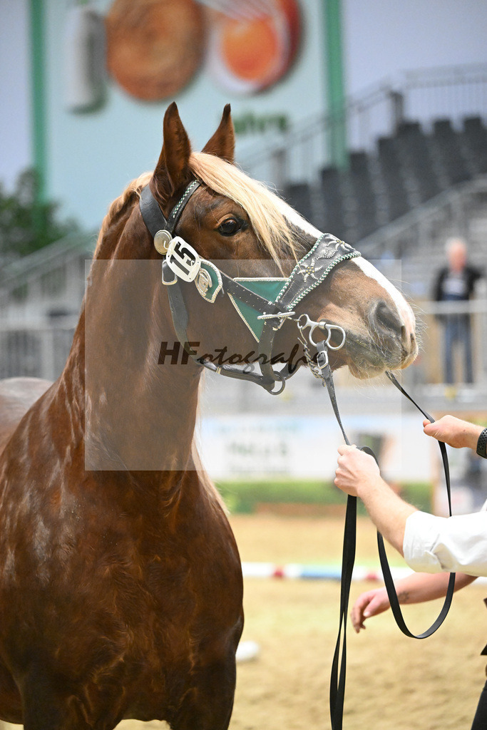 Kat-Nr. 15 Edelfee v. Vestus_Strauss_1260242 | hf-fotografie - Realisiert mit Pictrs.com