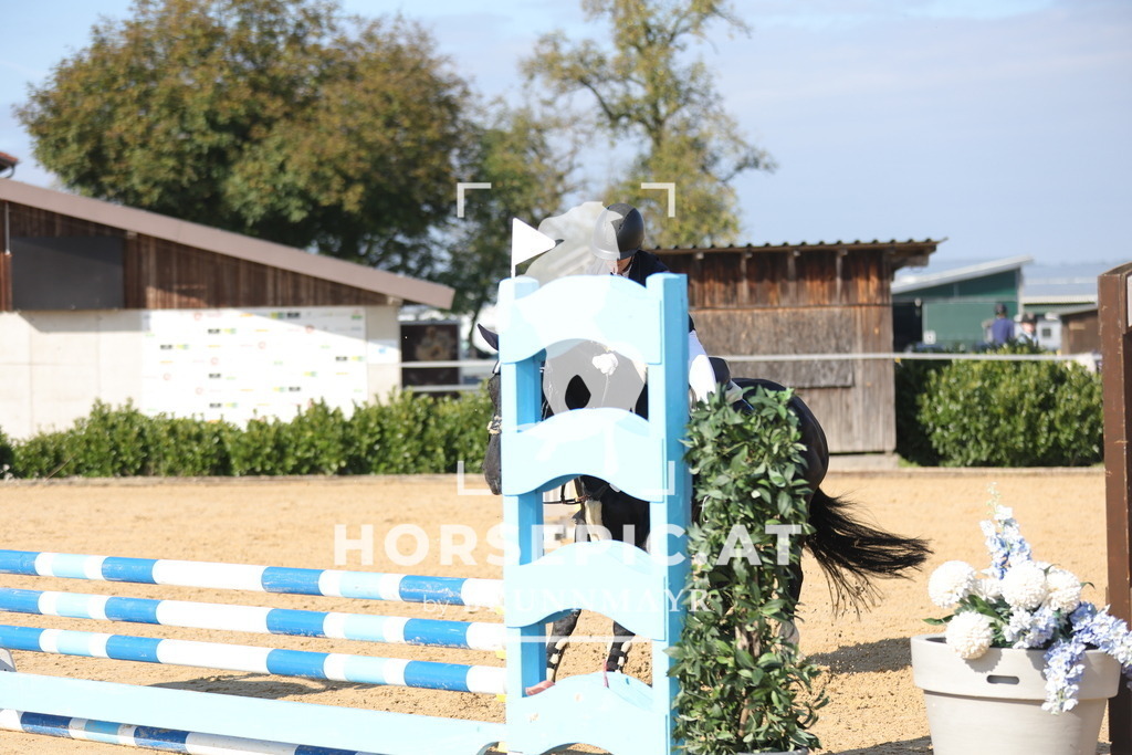 0P6A8033 | Willkommen bei Brunnmayr - Design & Fotografie – Ihrem Spezialisten für Reitturniere und Pferdeveranstaltungen in Oberösterreich, Salzburg und Bayern! Seit über 17 Jahren sind wir leidenschaftlich dabei.