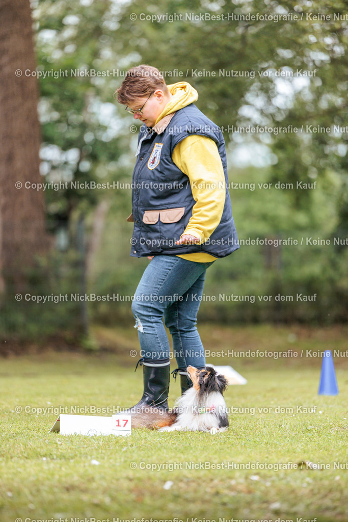 RO-Blumenthal-2026-Nickbest-Hundefotografie-2904 | Dein Hund! Dein Moment! Deine Erinnerungen! Hundefotografie in Bremen Blumenthal. Ich fange die besonderen Momente deines Vierbeiners ein – ob Indoor mit Blitzanlage oder in der freien Natur. Sicher dir dein Moment und dein Termin für eure Erinnerungen.