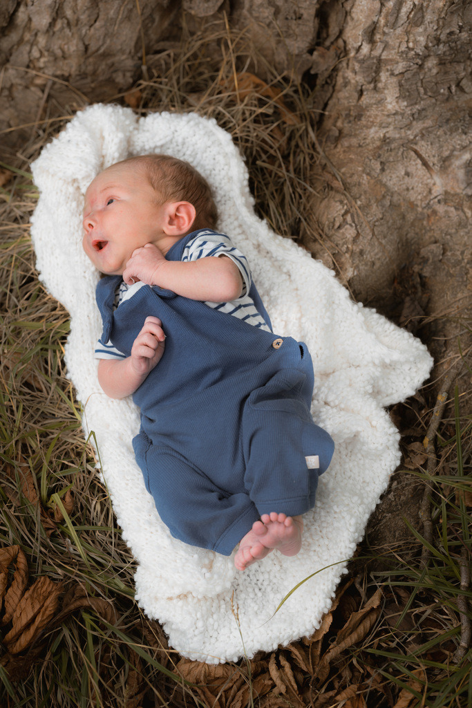ZD260823162524 | Fotoshop von zweidimensional Fotografie. Ihr Fotograf im Aargau. Abzüge von Ihrem Fotobox Event bestellen.Abzüge von Ihrem Hochzeit bestellen.Abzüge von Ihrem Schulfotograf bestellen.