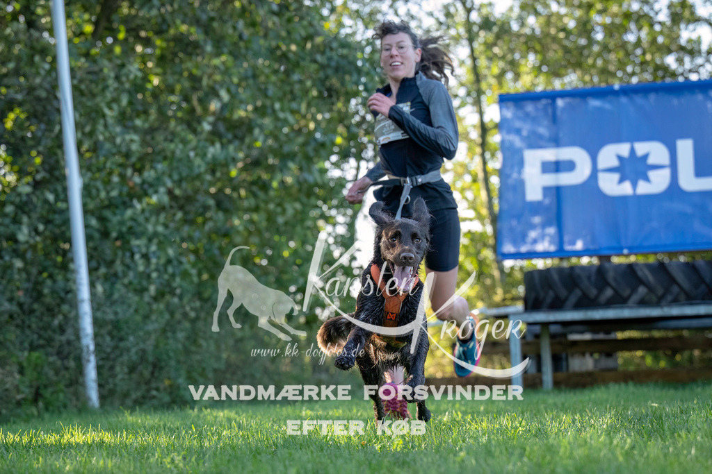 1011--6 | kk-dogfotos