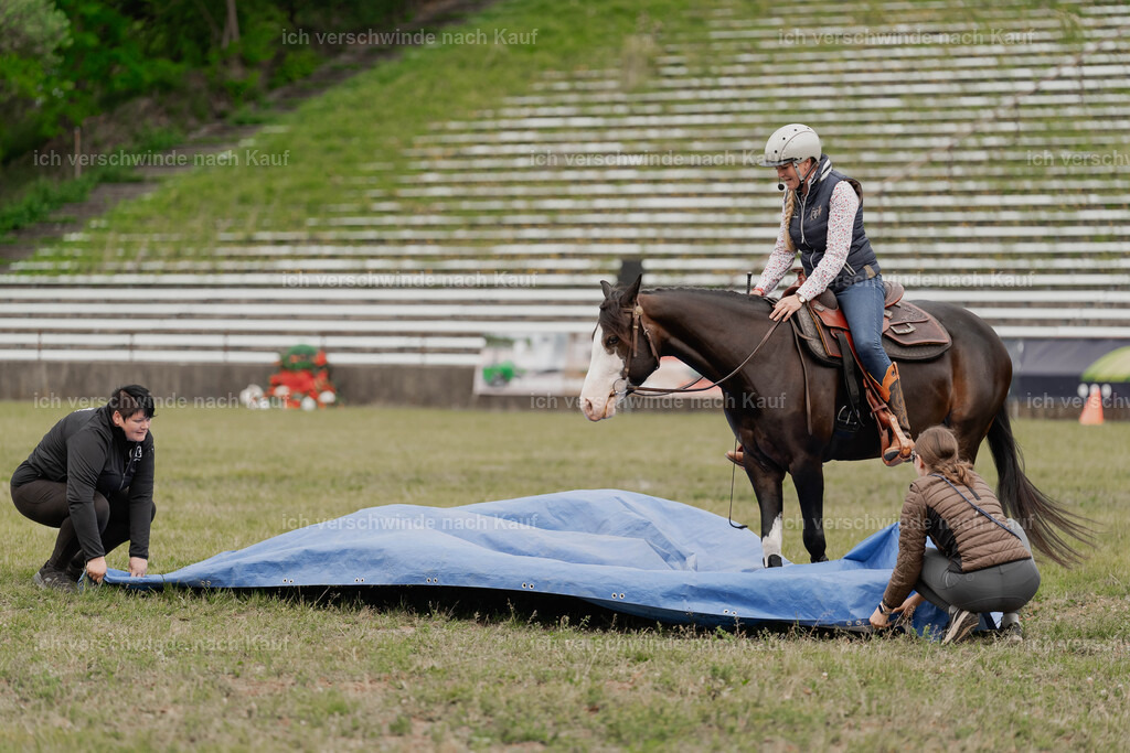 Showprogramm-295 | working equitationturnier fotograf videograf stoibphotography marixx film working equitation deutschland reitsport turnierfotografie eventfotografie equestrian events
