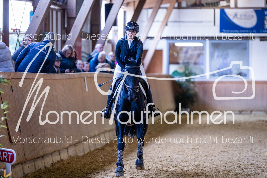 Sth-Gewöhnung-026 | MomenTaufnahmen Pferdesportfotos