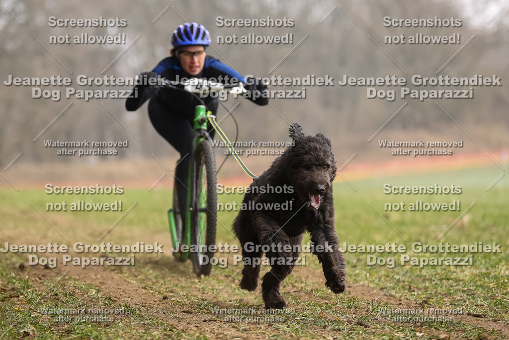 Dog Paparazzi - Plate 2026-139 | Dog Paparazzi Jeanette Grottendiek Fotografie & Videografie - Realisiert mit Pictrs.com