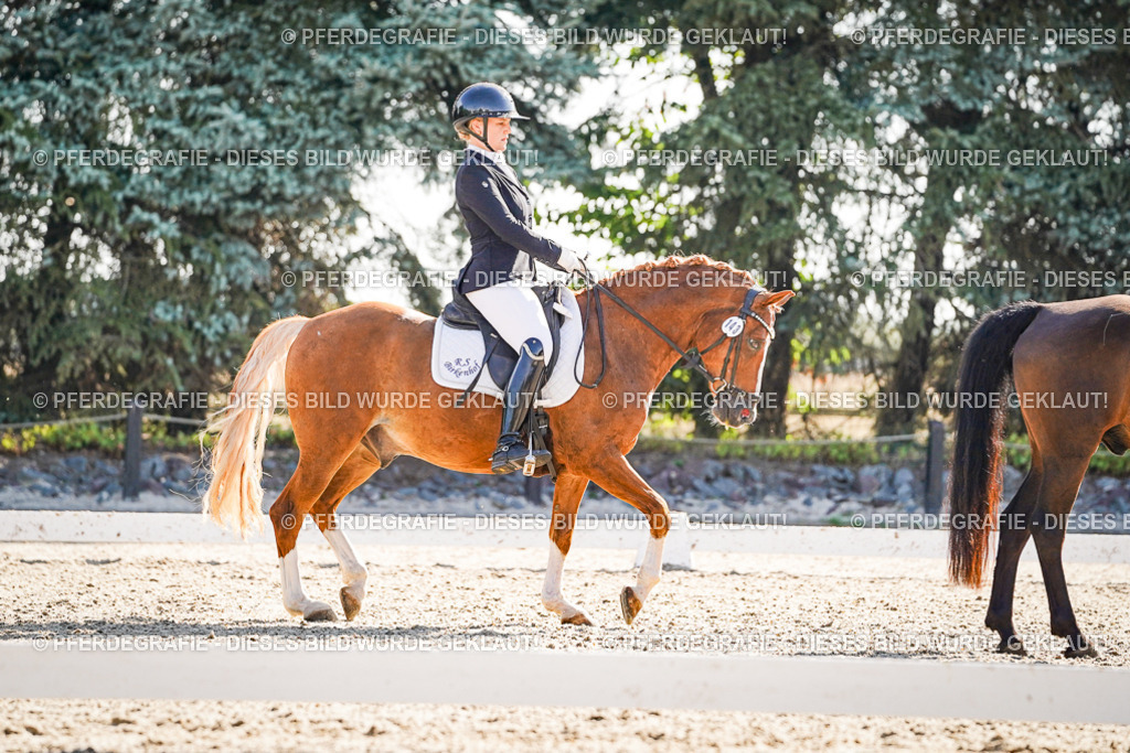 DSC09944 | Pferdegrafie