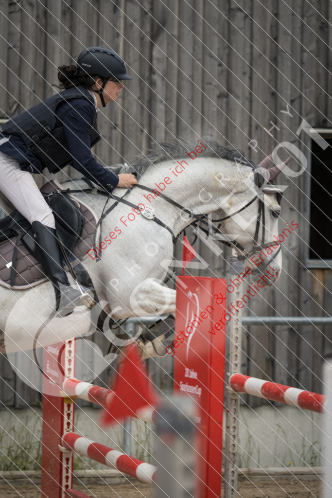 IMG_6868 | Sport-, Event- und Tierfotos in Profiqualität. Einfach auswählen, bestellen und herunterladen. Dein Moment – perfekt festgehalten.