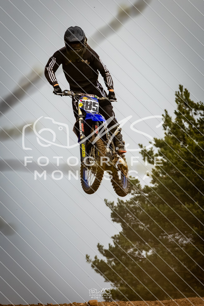 20260321-162A1179 | moni.sica.fotografie - Realisiert mit Pictrs.com