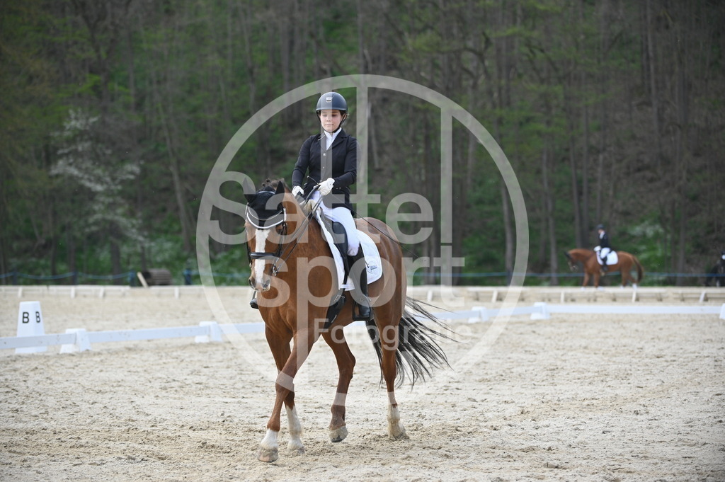 DSC_4811 | sattelsport - Realisiert mit Pictrs.com