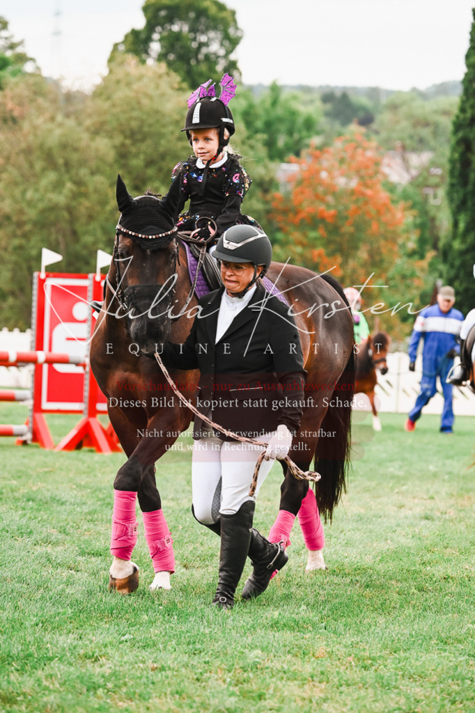 DSC_7510 | Pferde- und Turnierfotografie in Westsachsen. Pferdeportraits, Auftragszeichnungen und intuitive Kunst.