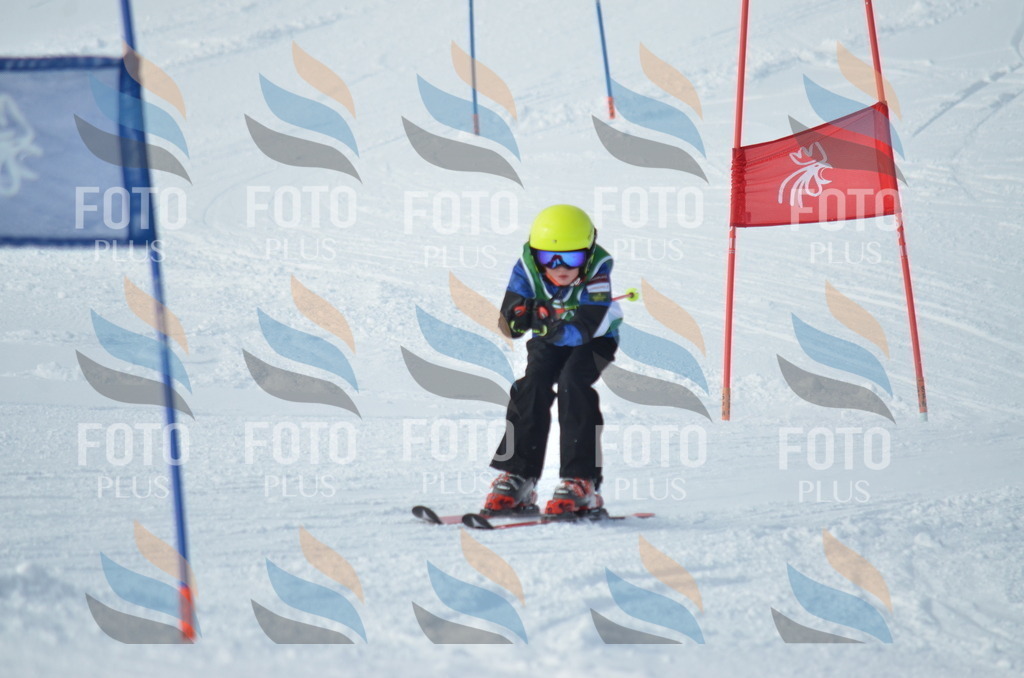 D8679 | holidayphoto