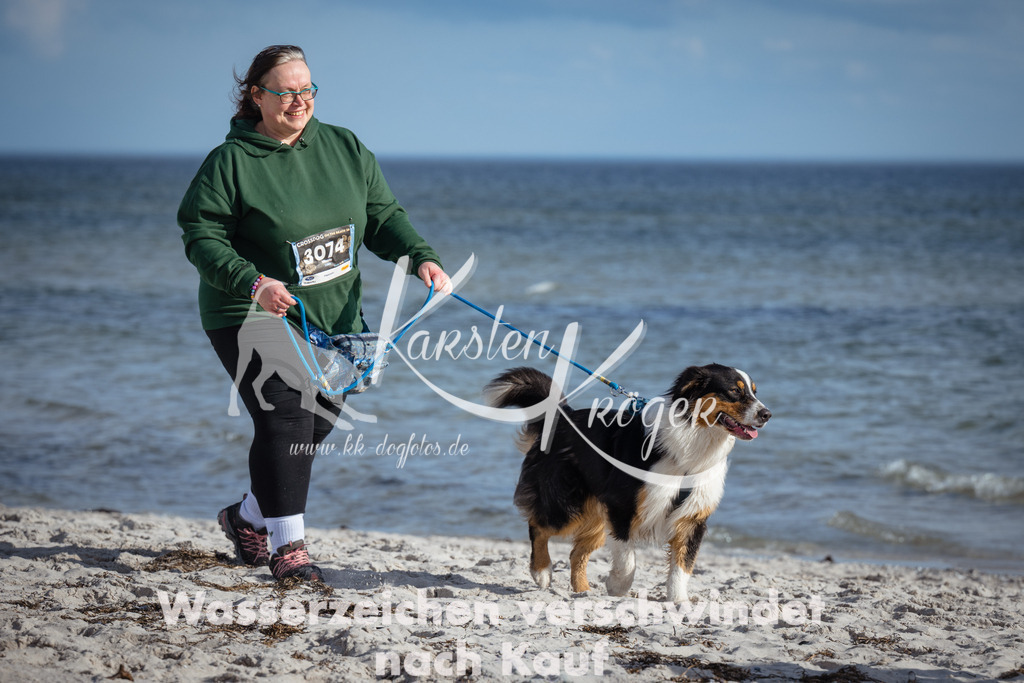 1353_ZZ94335 | kk-dogfotos