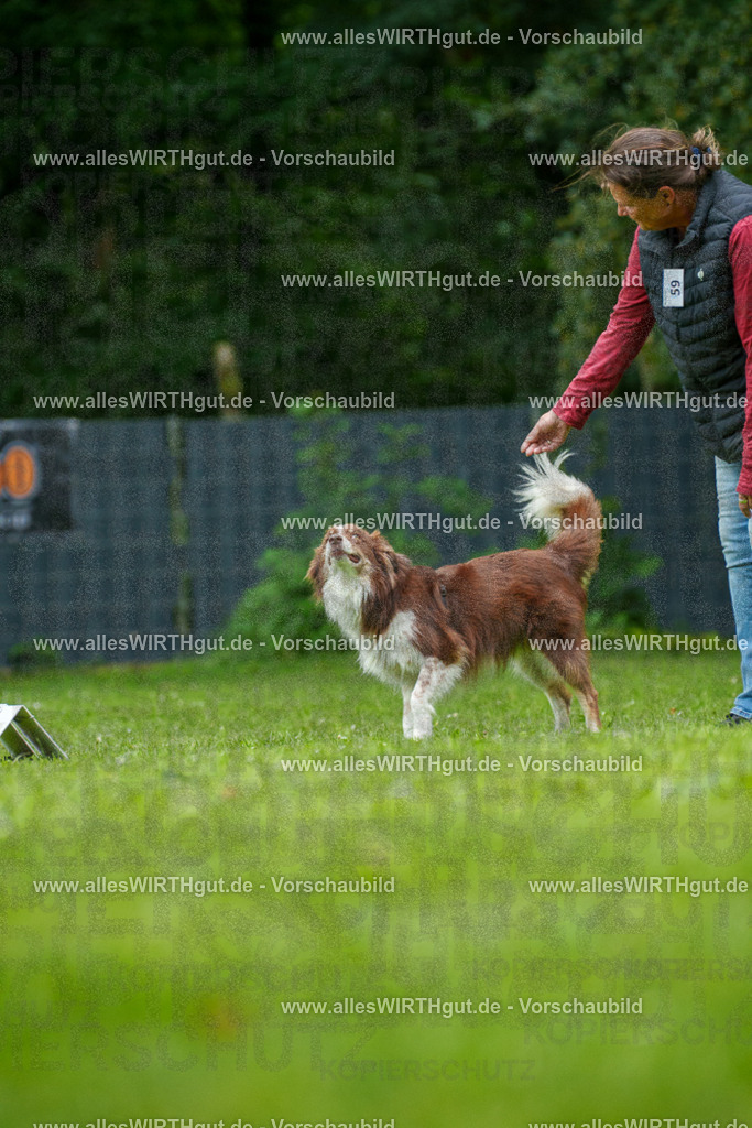 @allesWIRTHgut_Tierfotografie - www.allesWIRTHgut.de - 7R501425 | Professionelle Tierfotografie in Mönchengladbach von Daniel Wirth (allesWIRTHgut). Liebevolle & natürliche Bilder von Hunden & Katzen für unvergessliche Erinnerungen.