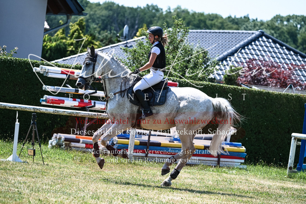 DSC_0296 | Pferde- und Turnierfotografie in Westsachsen. Pferdeportraits, Auftragszeichnungen und intuitive Kunst.