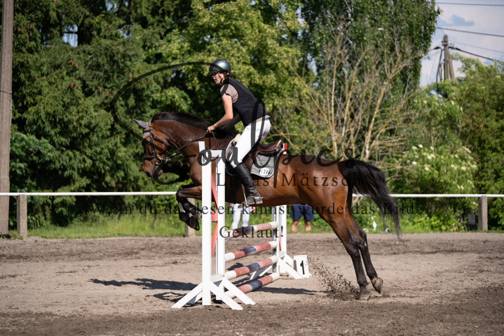 A7V03515 | Pferdefotograf