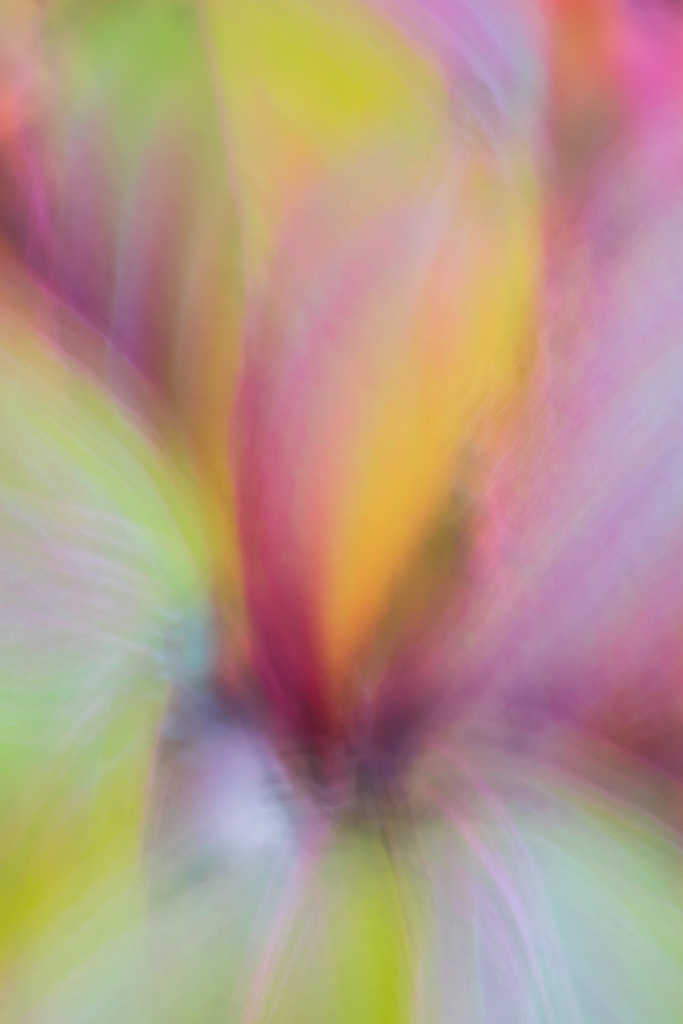 d_2021_10_0509 | Ausdrucksstarke Naturfotografien | Fotokunst Wandbilder zur Raumgestaltung für Zuhause | Praxis und Büro| Hotels und Wellness | Kanzlei und Repräsentanz. Hochwertig, individuell, flexibel. - Realisiert mit Pictrs.com