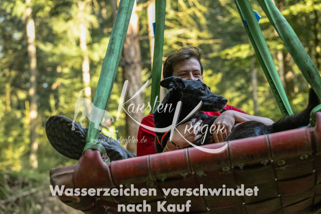 0958_ZZ92447-Bearbeitet | kk-dogfotos