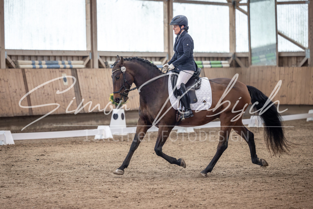 20251011-_3LI9311 | Tierfotografie Pferde, Hunde, Katzen, Haustiere.
Turnierfotografie Reitturniere, Reiten, Springreiten, Dressur in Hanau, dem Main-Kinzig-Kreis und dem Rhein-Main- Gebiet um Frankfurt