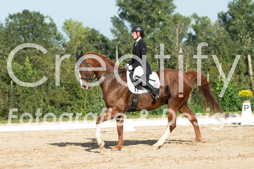 IMG_4930 | Creatify Fotografie