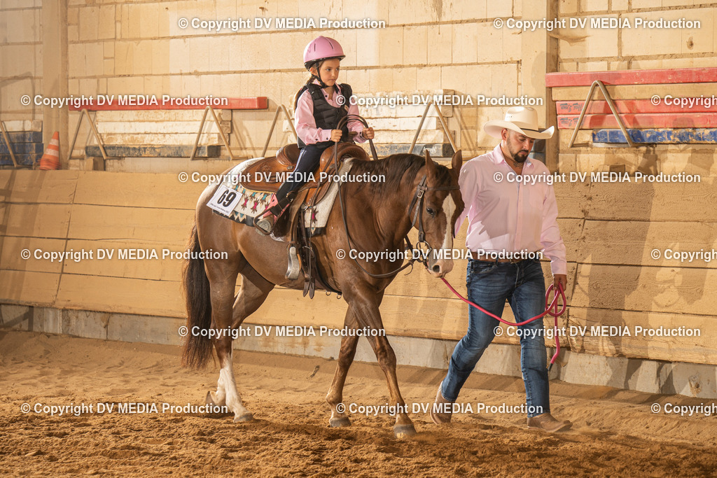 NID03294 | dv-media-shop - Realisiert mit Pictrs.com