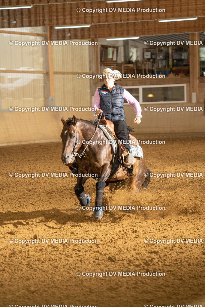 LAU00665 | dv-media-shop - Realisiert mit Pictrs.com