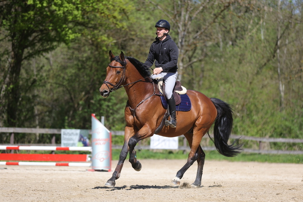 0P6A8138 | Willkommen bei Brunnmayr - Design & Fotografie – Ihrem Spezialisten für Reitturniere und Pferdeveranstaltungen in Oberösterreich, Salzburg und Bayern! Seit über 17 Jahren sind wir leidenschaftlich dabei.
