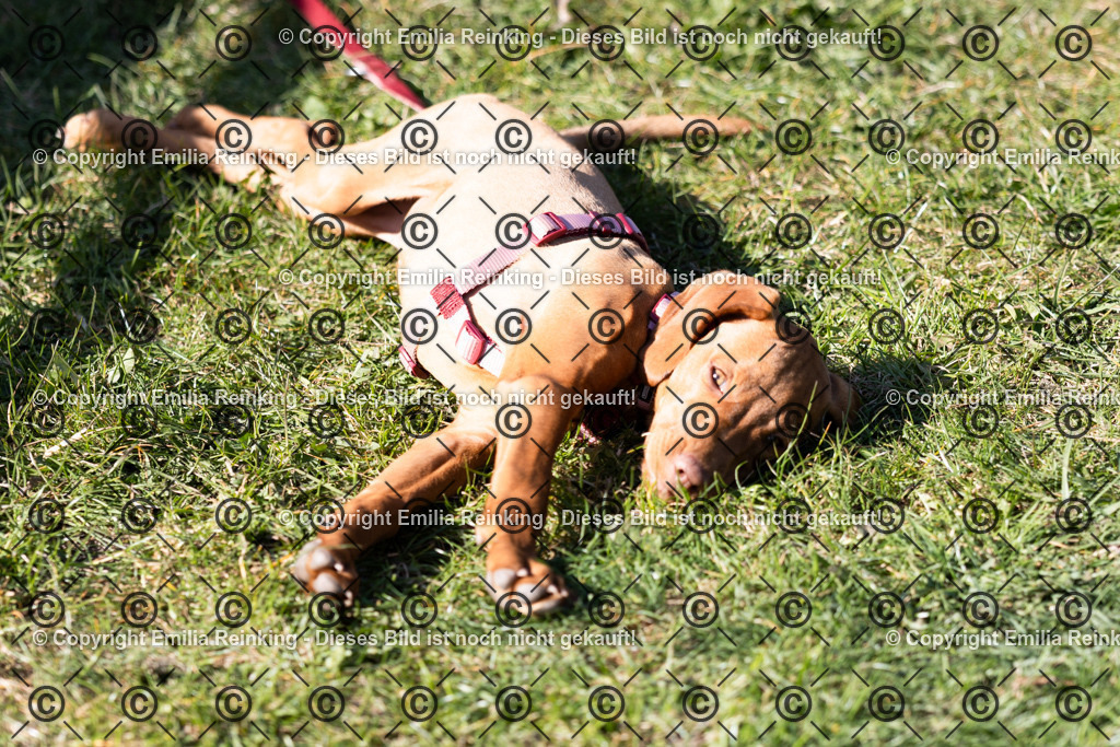 CL5A6000 | Emilia Reinking Fotografie - Realisiert mit Pictrs.com