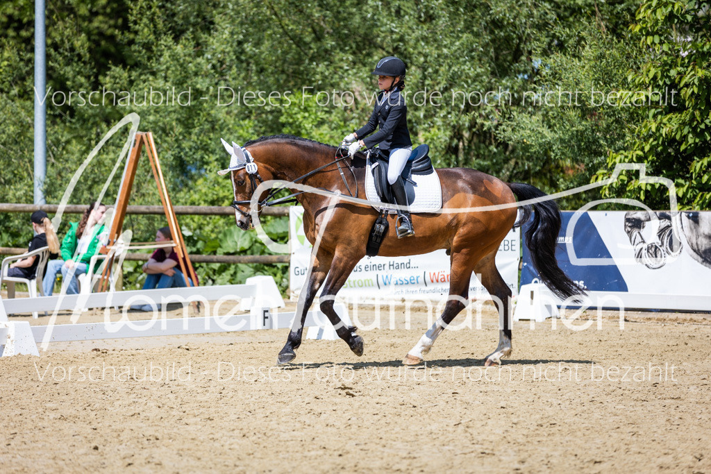 Donop24-RWB-052 | MomenTaufnahmen Pferdesportfotos