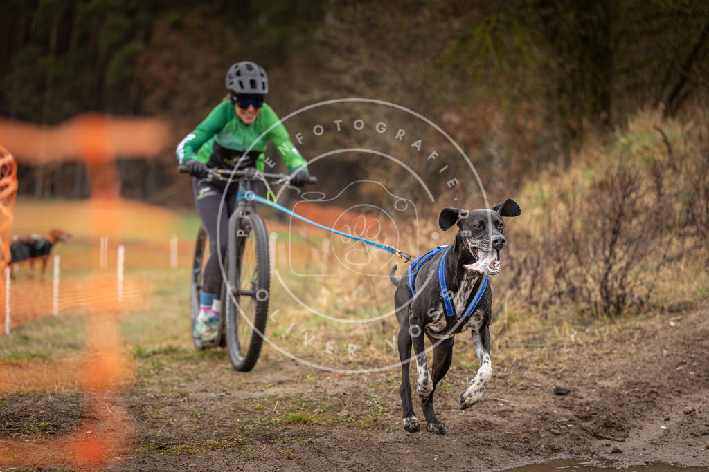 DV3A9345 | Hundefotografie, Tierfotograf, Pfotenfotografie, Fotoshooting Hund, Hunde Portrait, Hundesport, Hundeportraits, Heideshooting, Hunde, Sportfotograf, Hundefotograf, Turnierhundsport, THS,  - Realisiert mit Pictrs.com