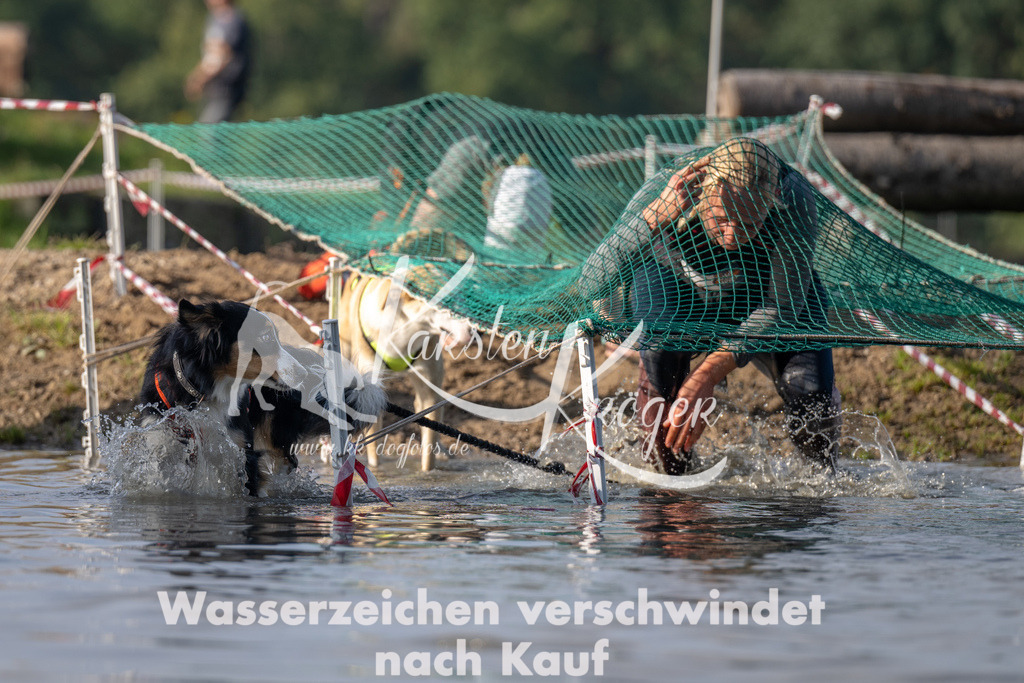 1037_ZZ94262 | kk-dogfotos