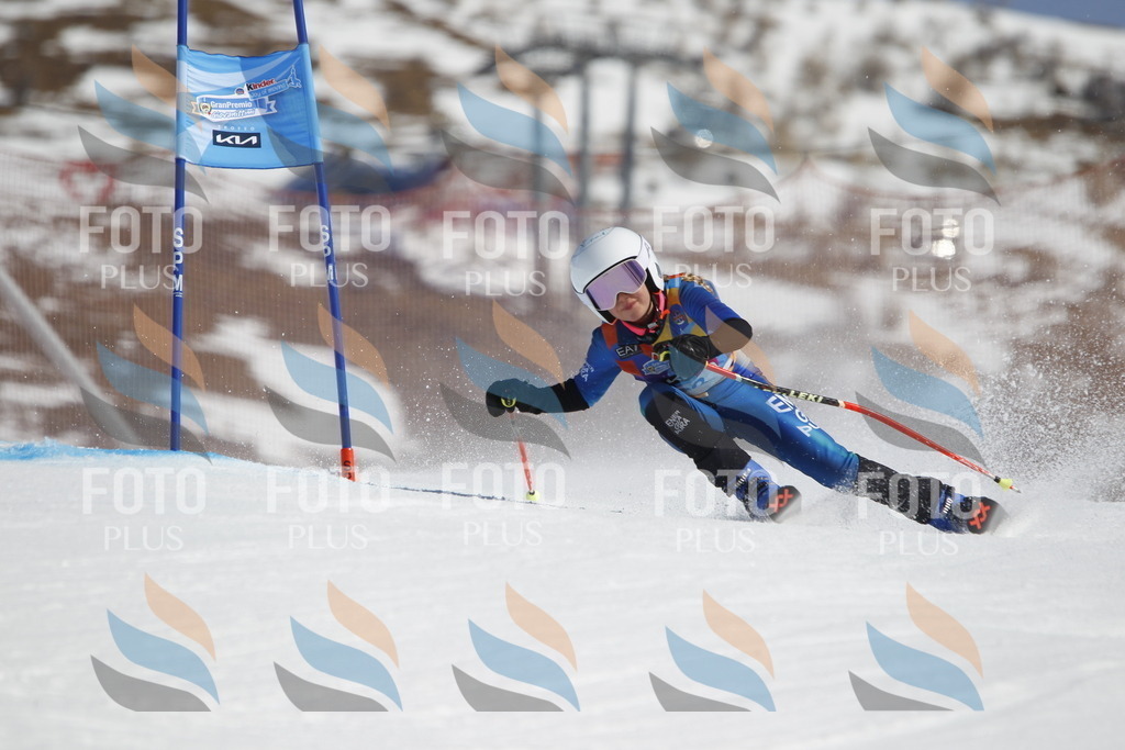 _U3G0212 | holidayphoto