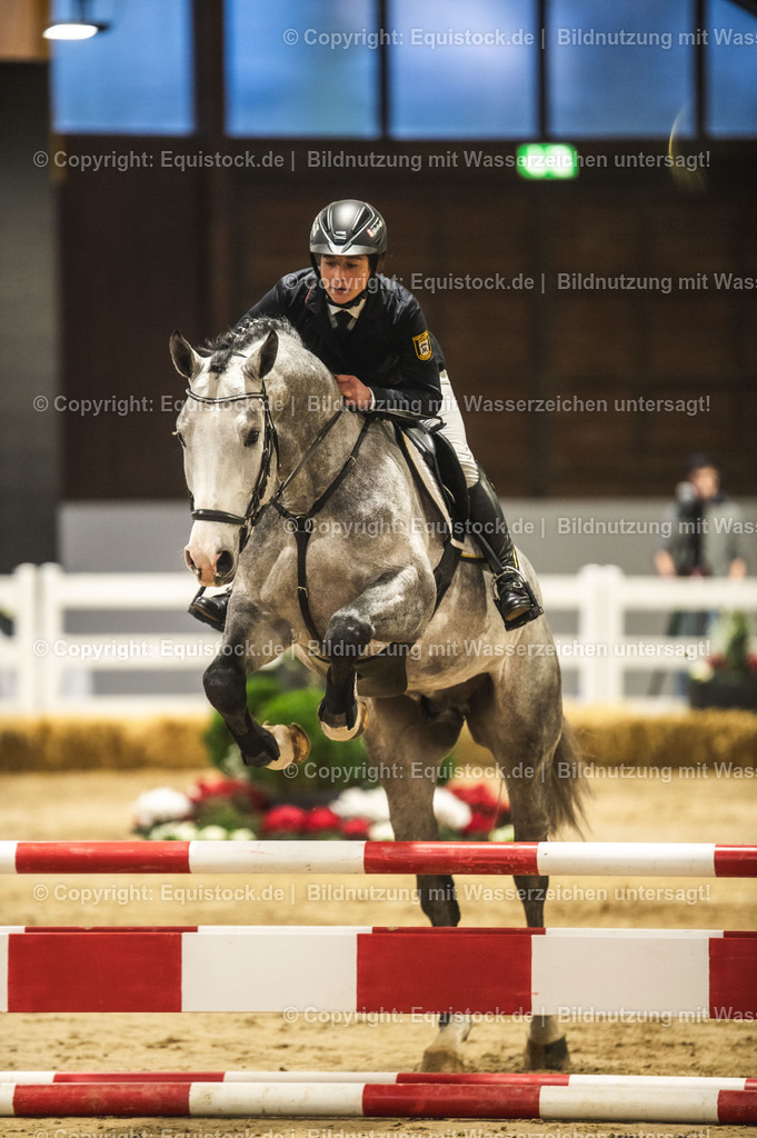 20240302_Hengstvorstellung_Marbach_TOMsPiC_0320-2 | equistock