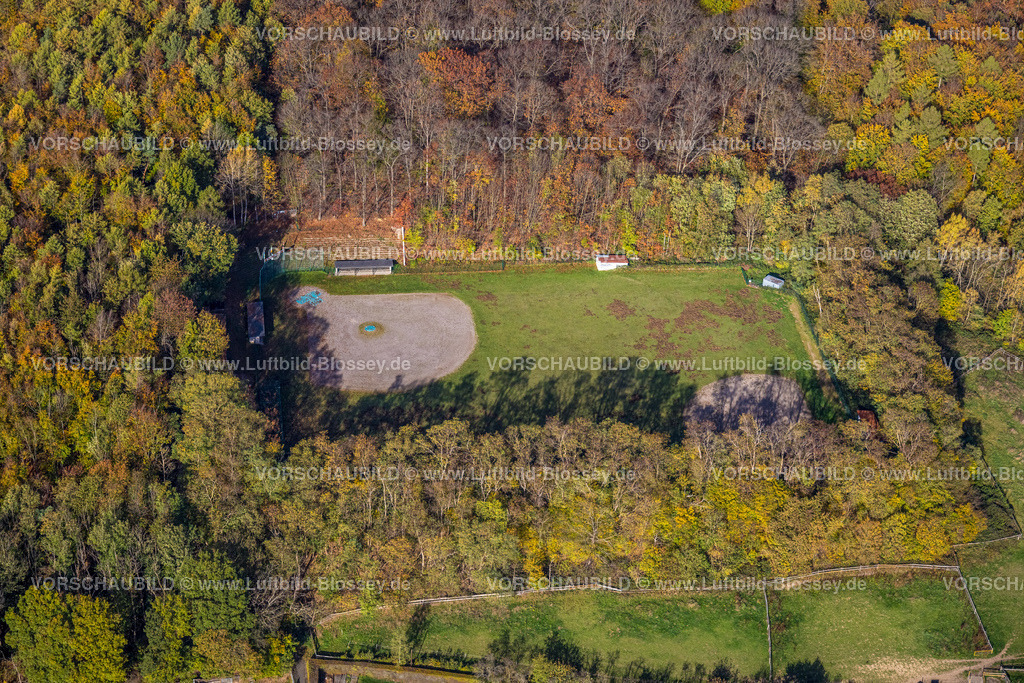 Hagen221015531 | Luftbild, Little Temper Field Baseballfeld,BSC Hagen Chipmunks, Herbstwald, Haspe, Hagen, Ruhrgebiet, Nordrhein-Westfalen, Deutschland