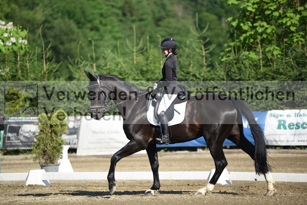 DSC_6929 | equestrian-live-com