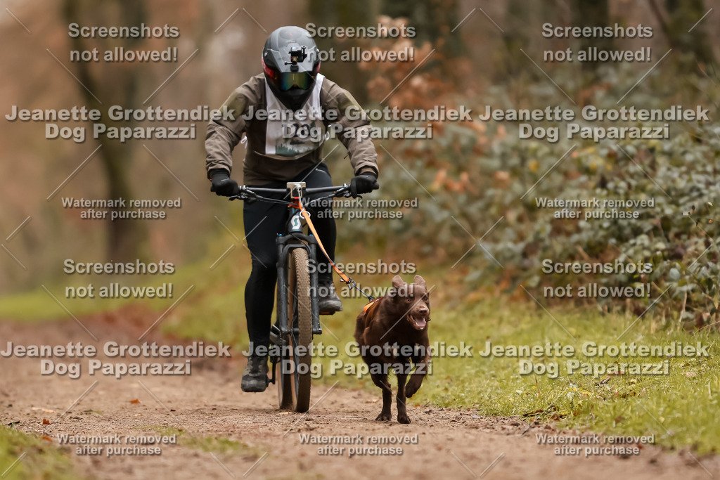 Dog Paparazzi - Speedhunter Mannheim  2025-356 | Dog Paparazzi Jeanette Grottendiek Fotografie & Videografie