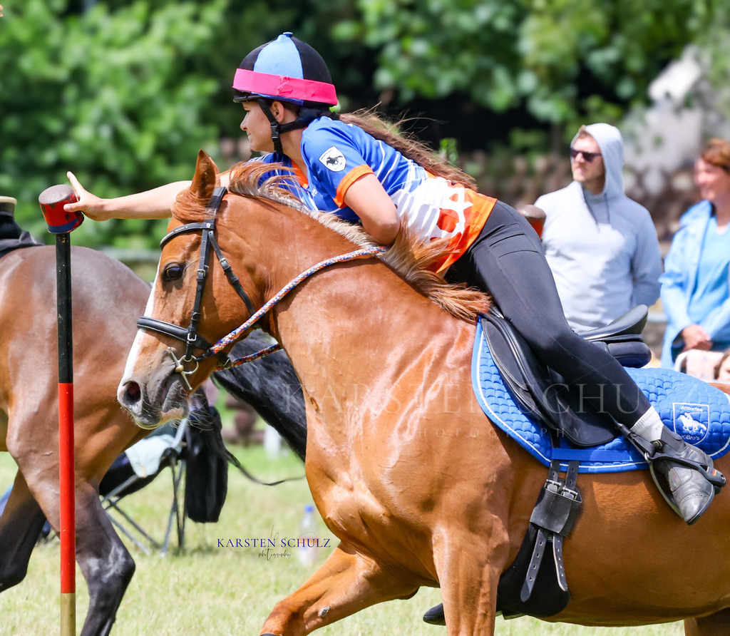 1B3A1096 | Reitsport Reiten