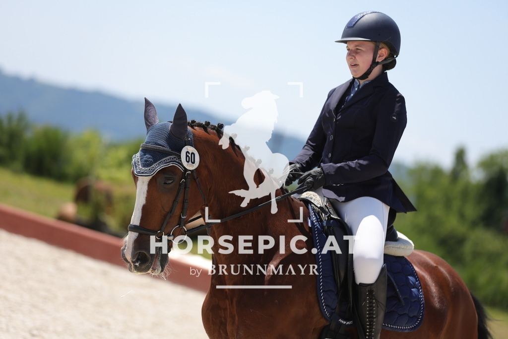 0P6A6334 | Willkommen bei Brunnmayr - Design & Fotografie – Ihrem Spezialisten für Reitturniere und Pferdeveranstaltungen in Oberösterreich, Salzburg und Bayern! Seit über 17 Jahren sind wir leidenschaftlich dabei.