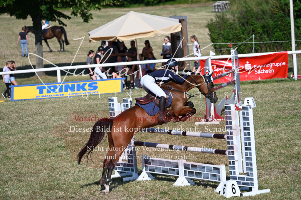 DSC_2442 | Pferde- und Turnierfotografie in Westsachsen. Pferdeportraits, Auftragszeichnungen und intuitive Kunst.