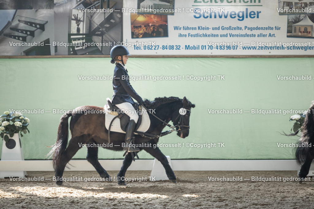 _D5A8925 | Emotionale Pferde- & People-Fotografie rund um Heidelberg, Leimen & Umgebung. Natürliche Fotos von Pferd, Mensch & Familie. Jetzt Termin sichern!
