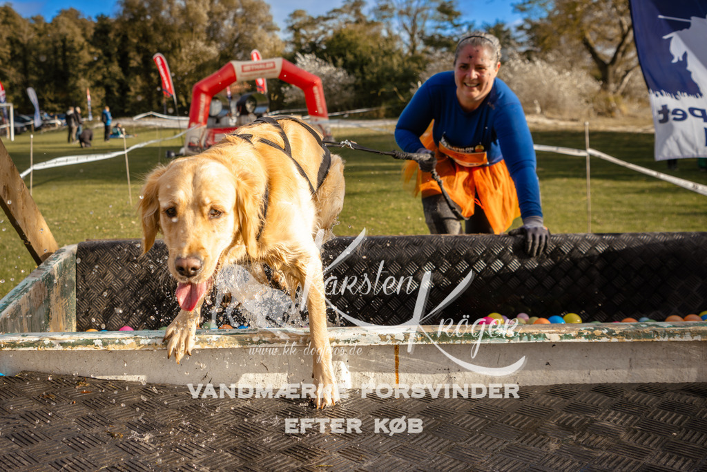 1556_ZZ97503 | kk-dogfotos