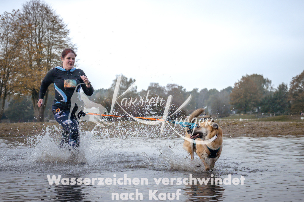 1125_ZZ94651 | kk-dogfotos